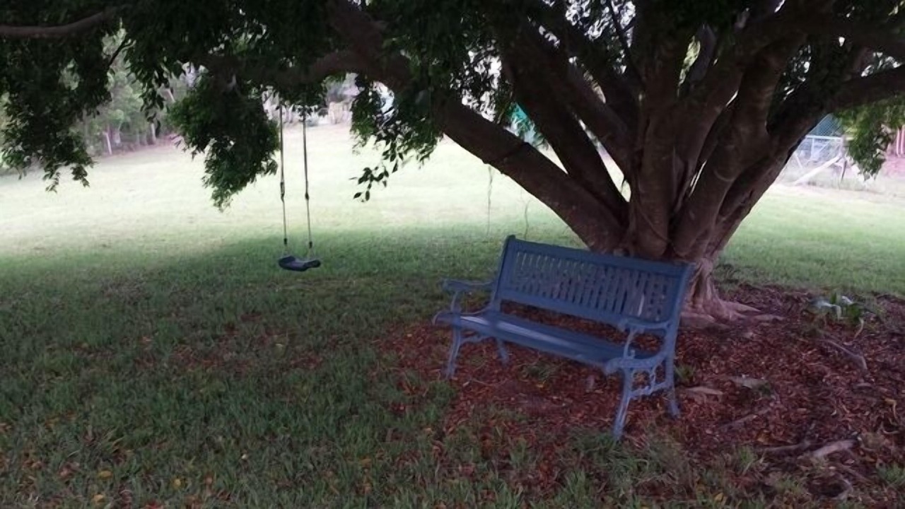 Photo of Others in Urunga