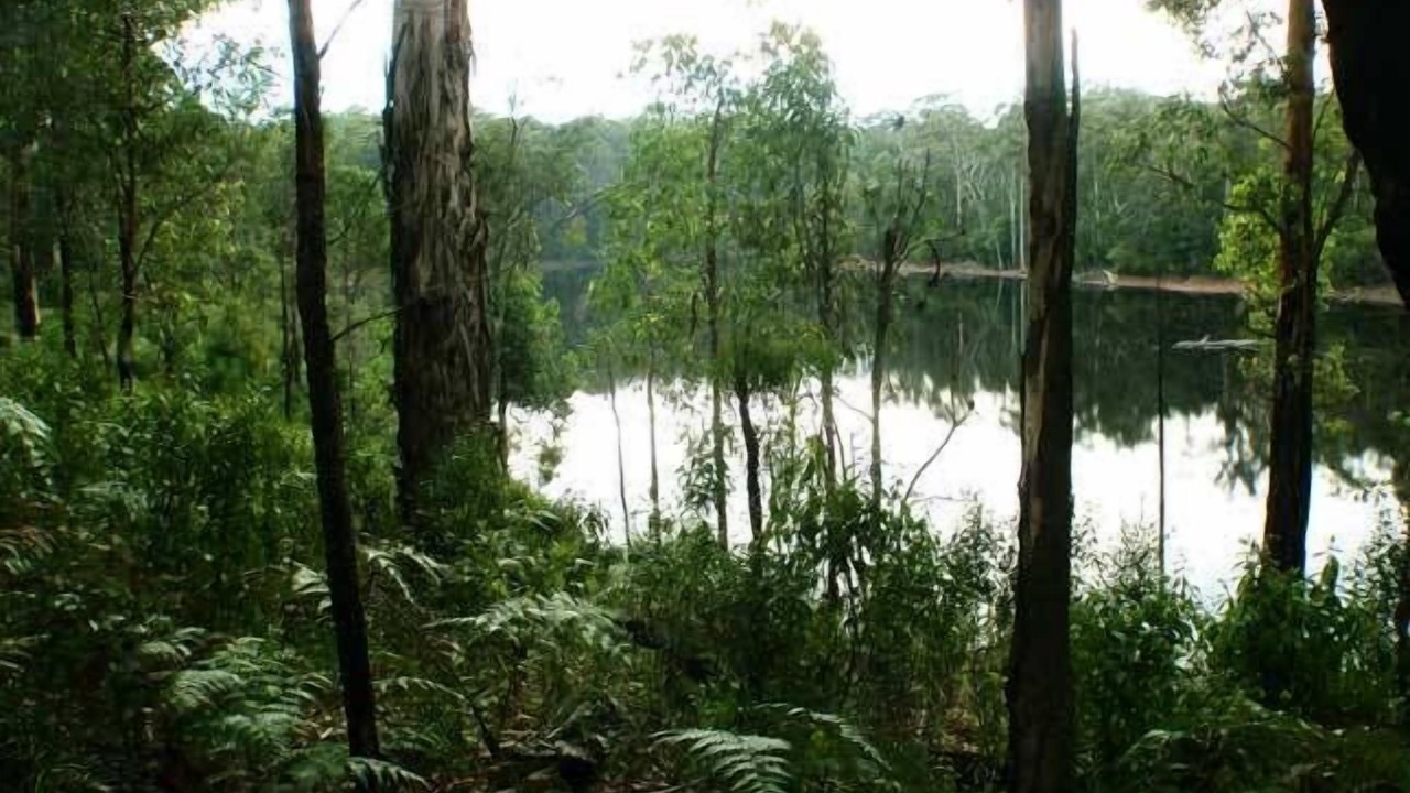 Photo of Outdoor in Quinninup