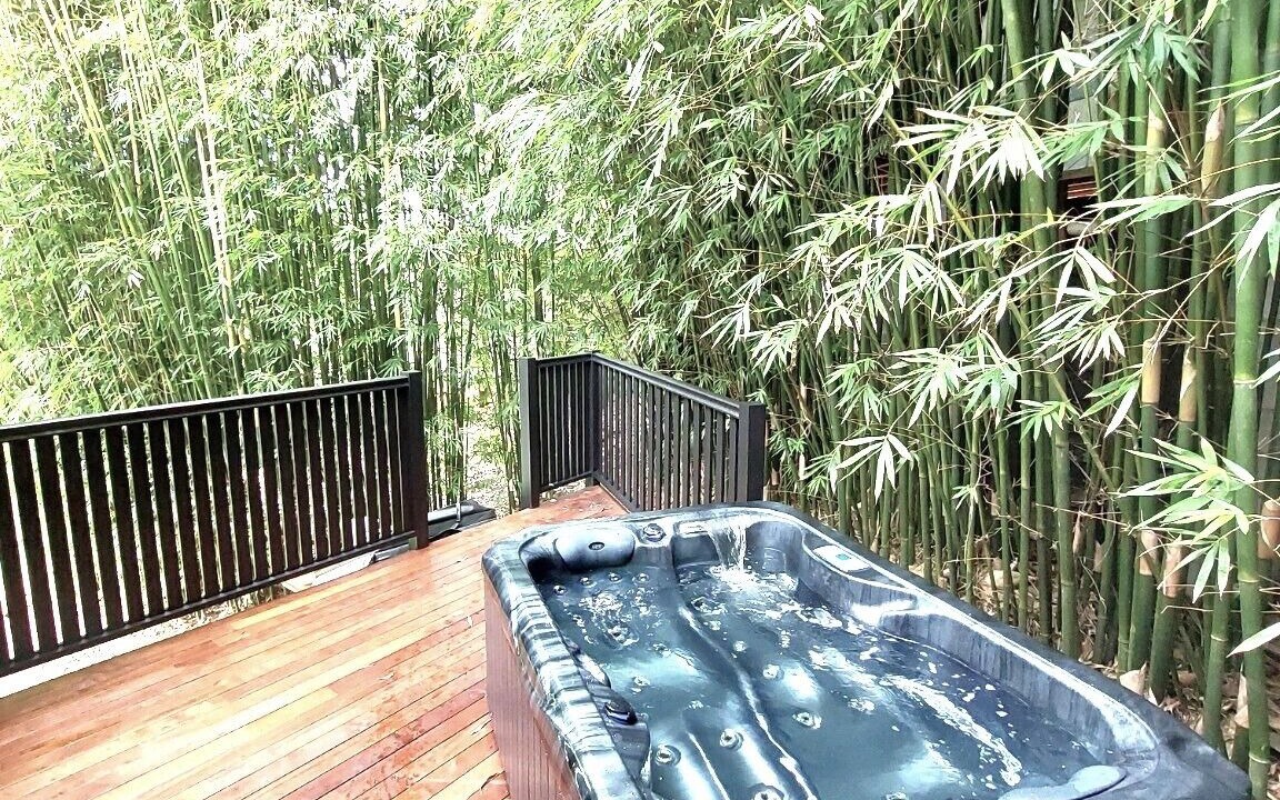 Photo of Outdoor in North Maleny