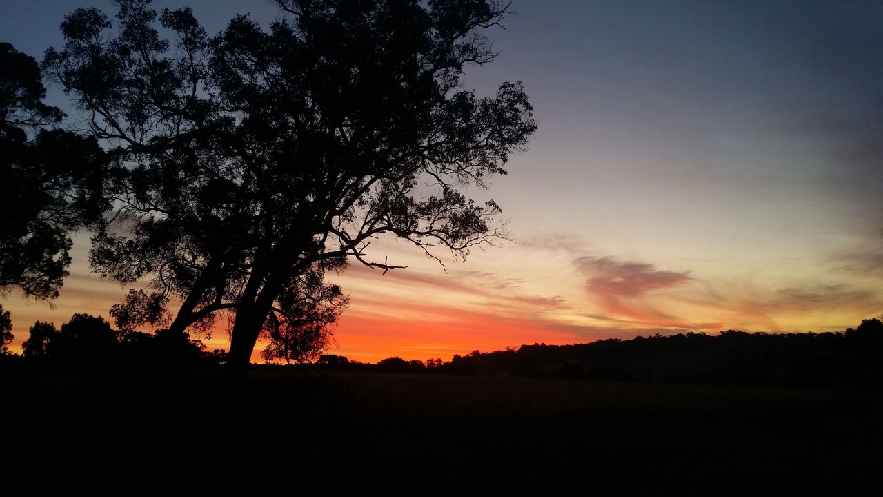 Photo of Others in Frankland River