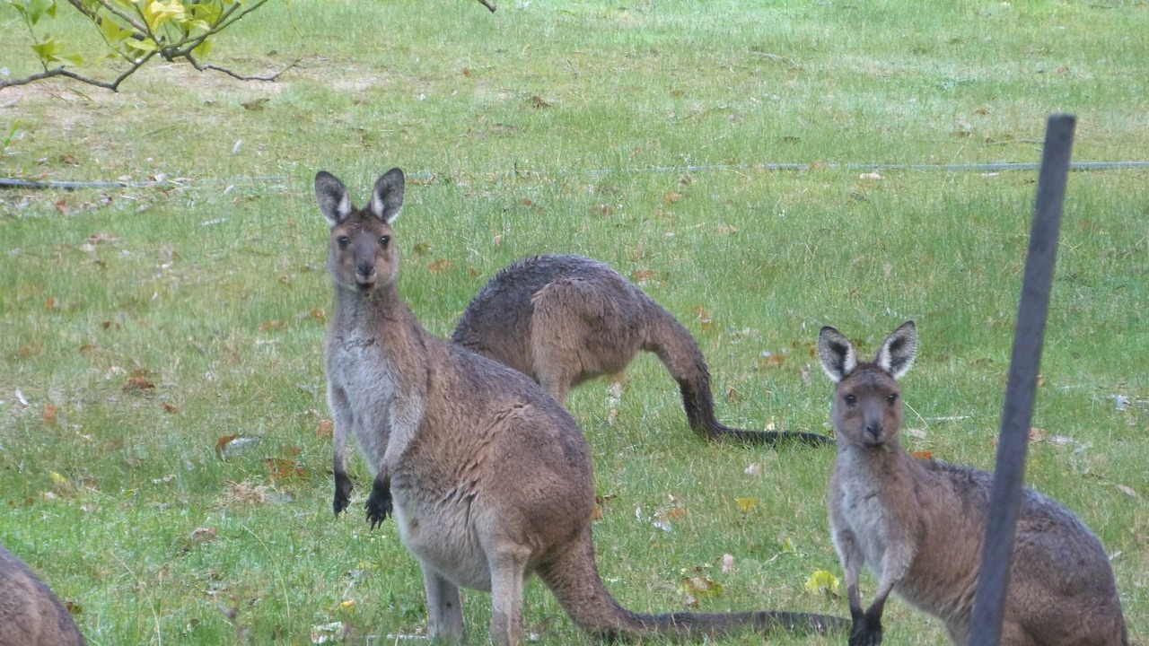 Photo of Outdoor in Pemberton