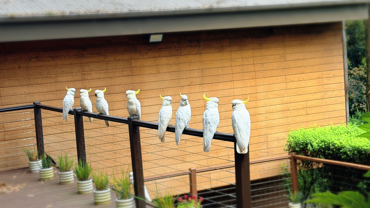Photo of Outdoor in Olinda
