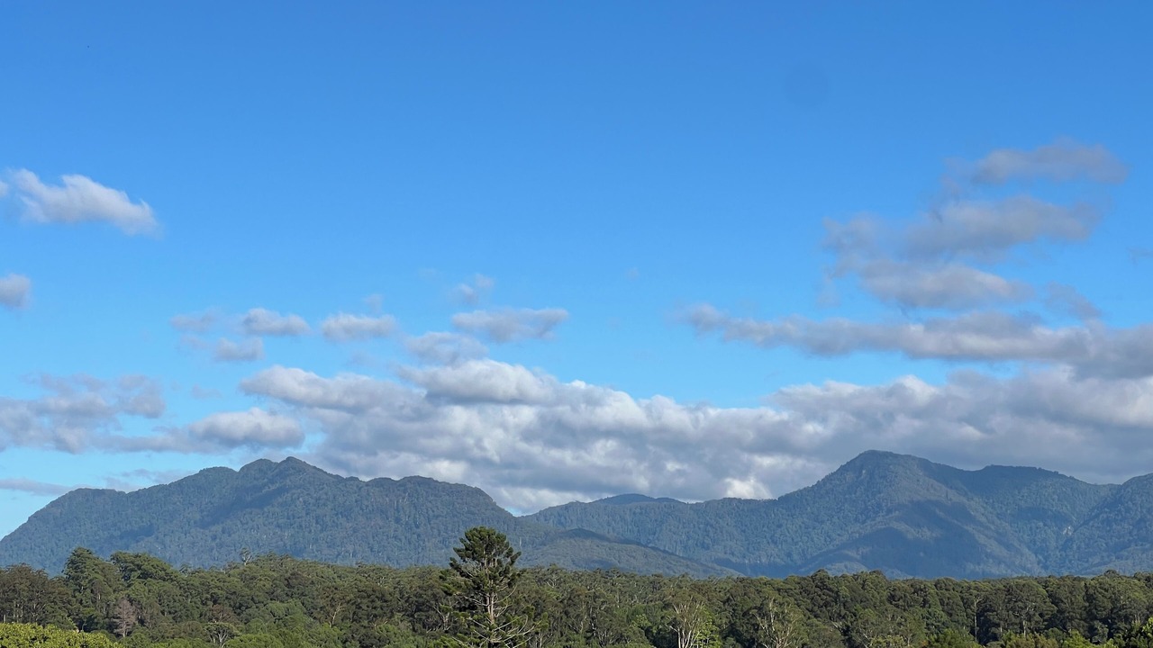Photo of Others in Bellingen