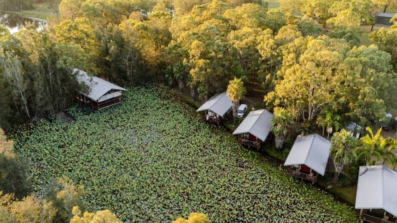 Photo of Outdoor in Lovedale