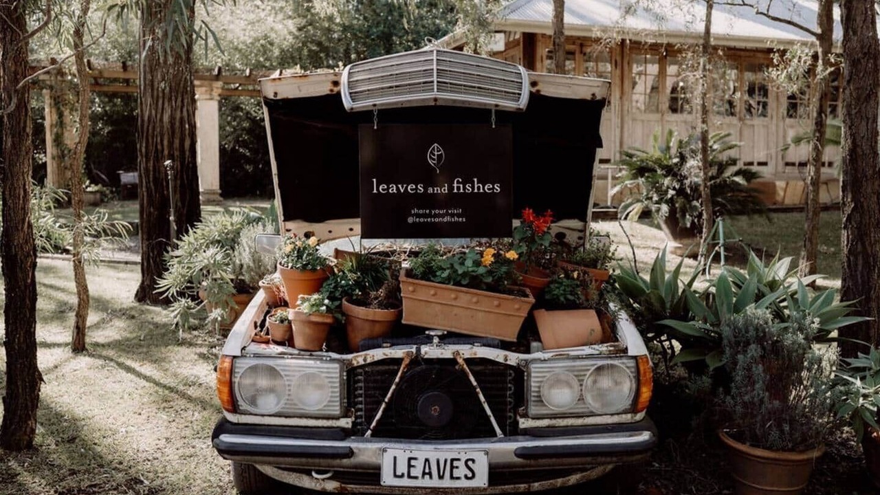 Photo of Outdoor in Lovedale
