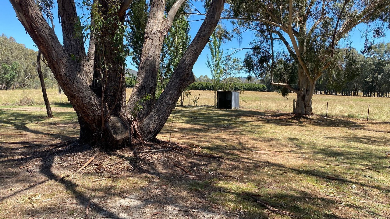 Photo of Outdoor in Wooragee