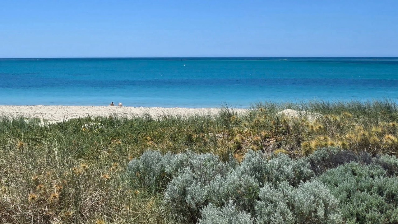 Photo of Others in Shoalwater