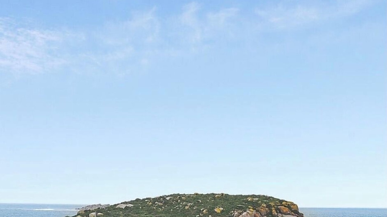 Photo of Others in Encounter Bay