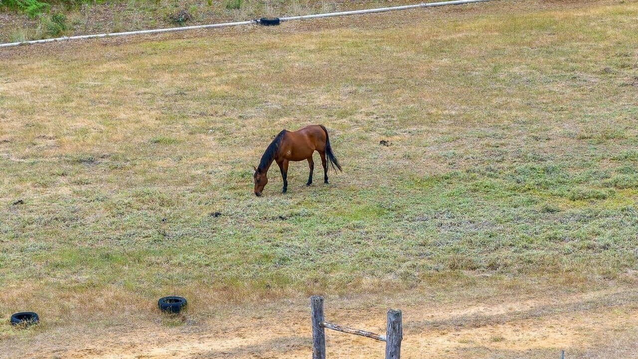 Photo of Others in Upper Warren
