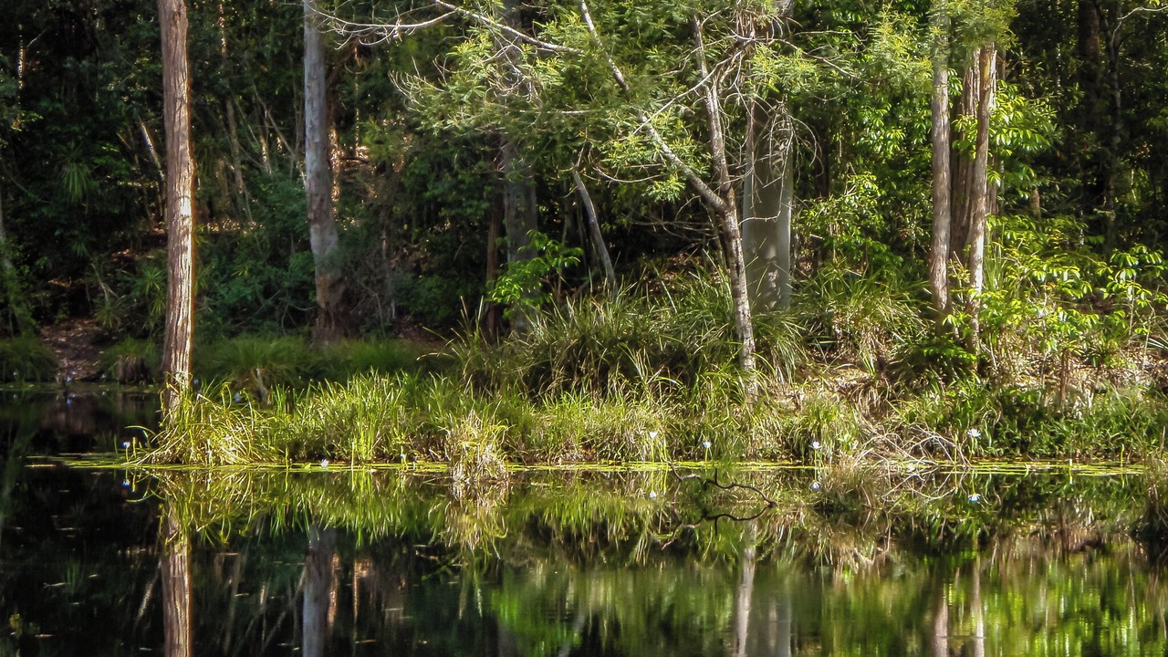Photo of Others in Bellingen