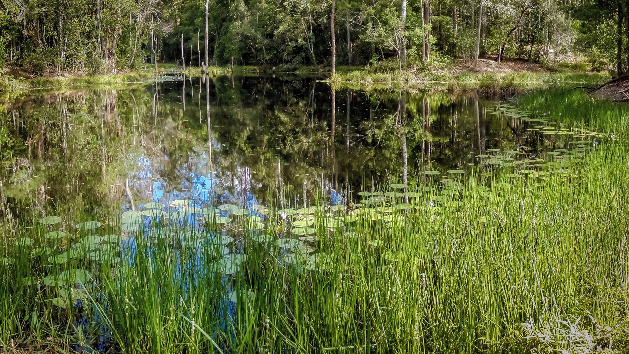 Photo of Others in Bellingen