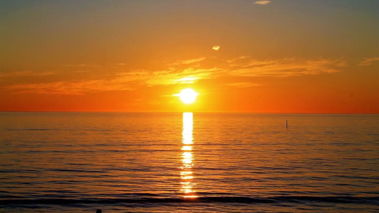 Photo of Others in Glenelg North