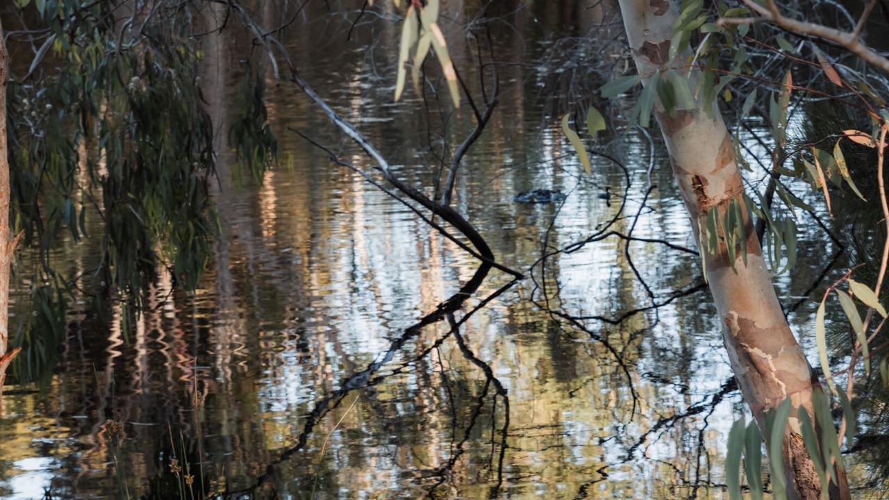 Photo of Others in Margaret River