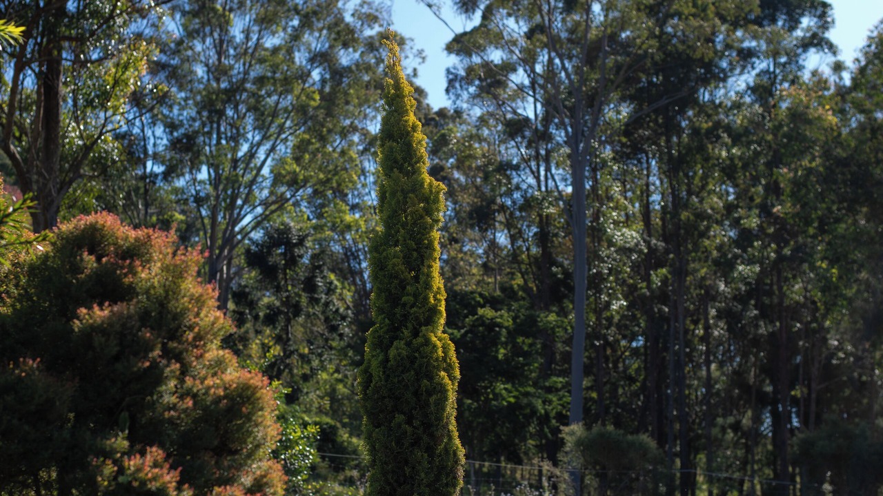 Photo of Outdoor in Gheerulla