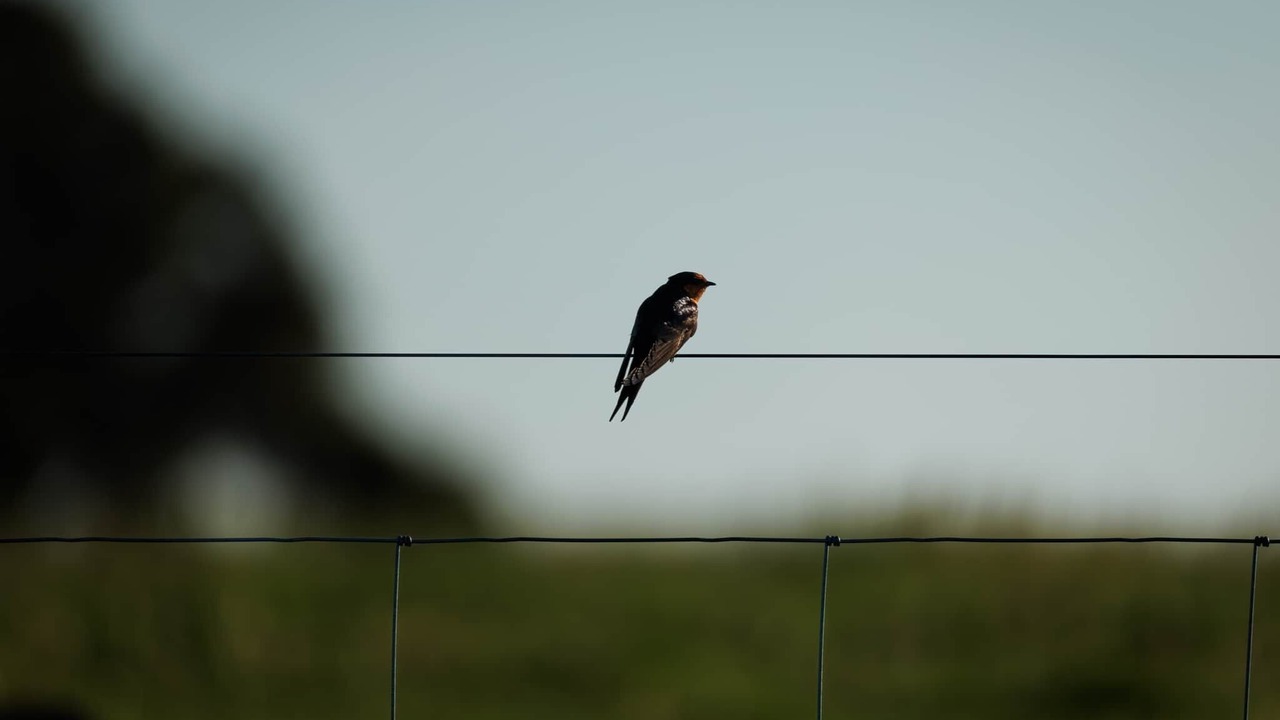 Photo of Others in Myrup