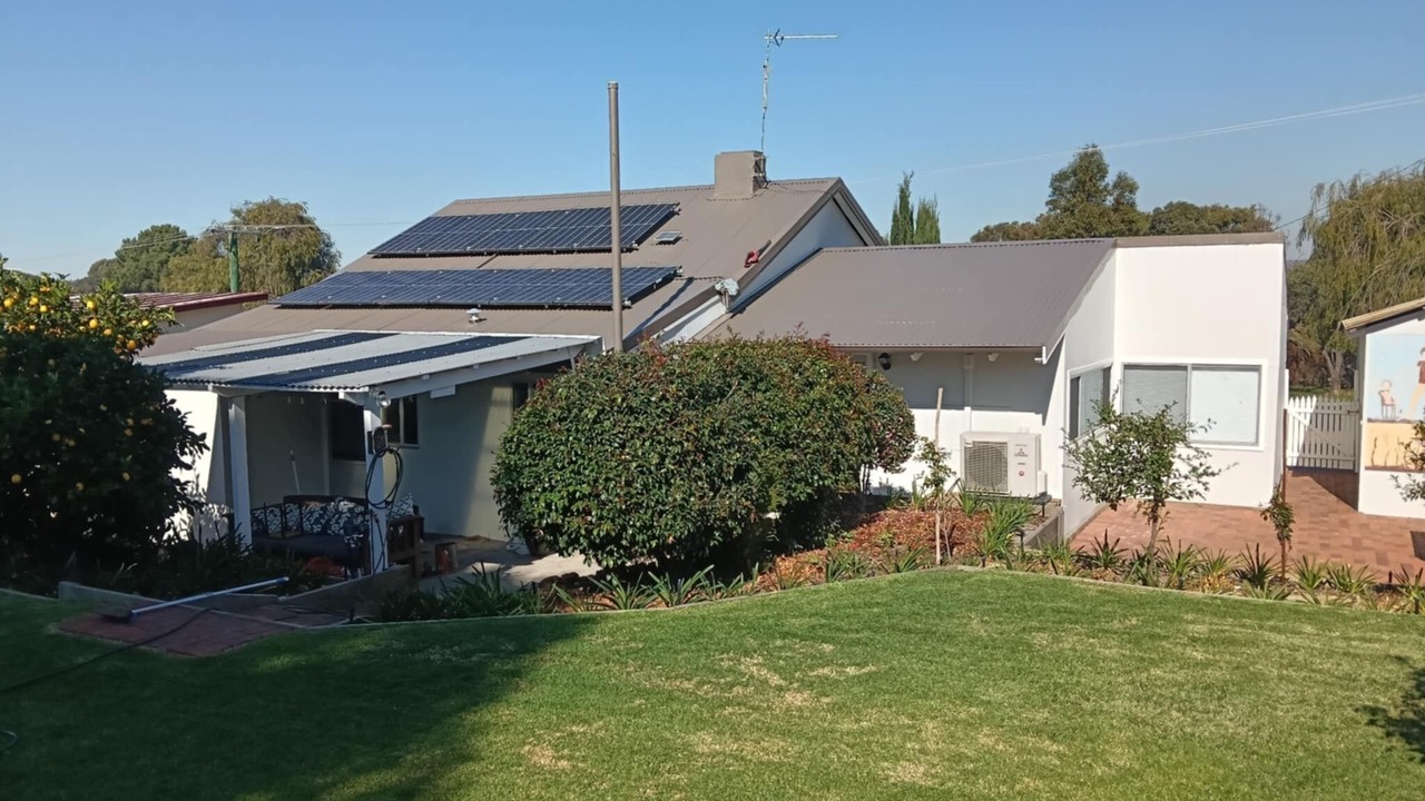 Photo of Outdoor in Collie