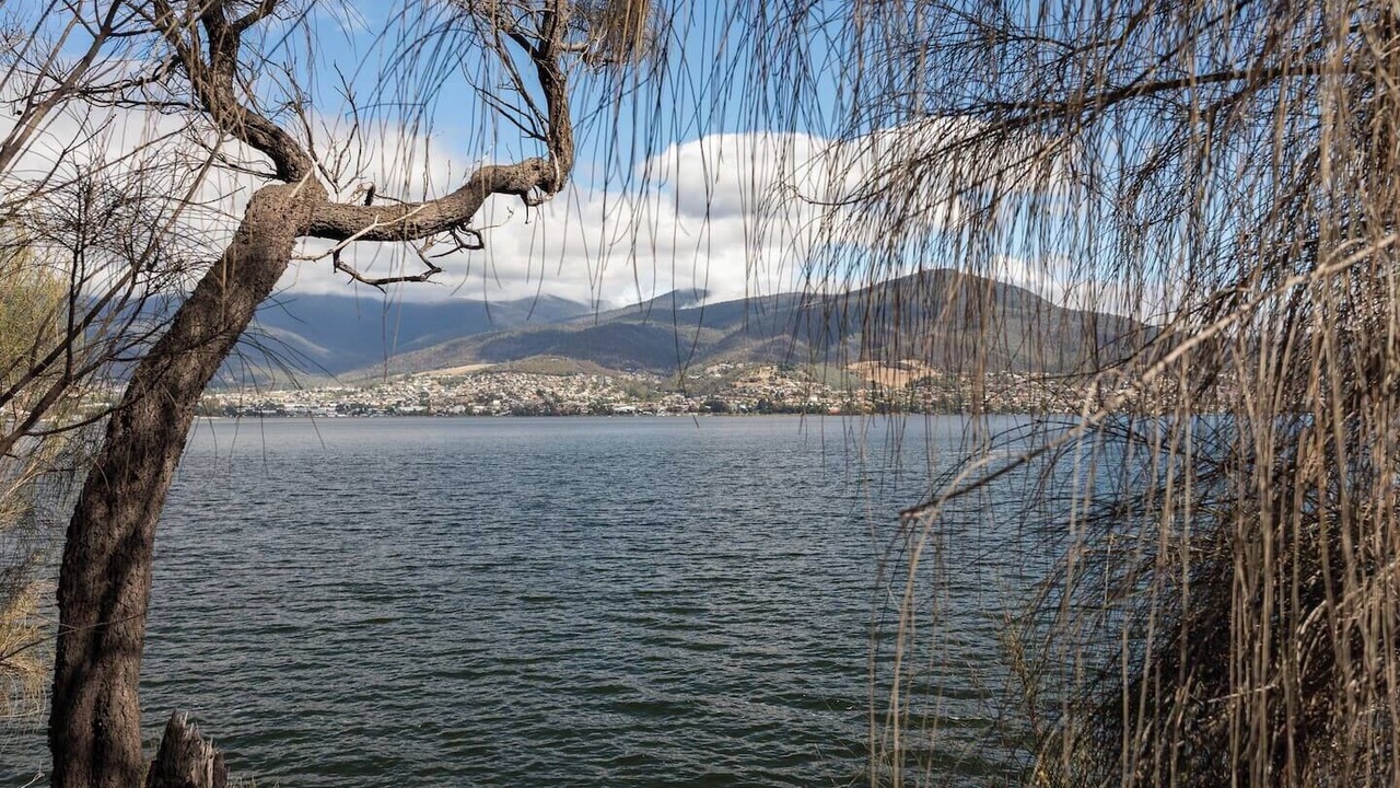 Photo of Others in Otago