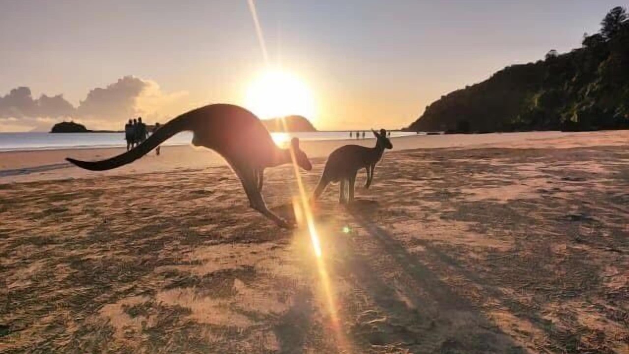Photo of Others in Ball Bay