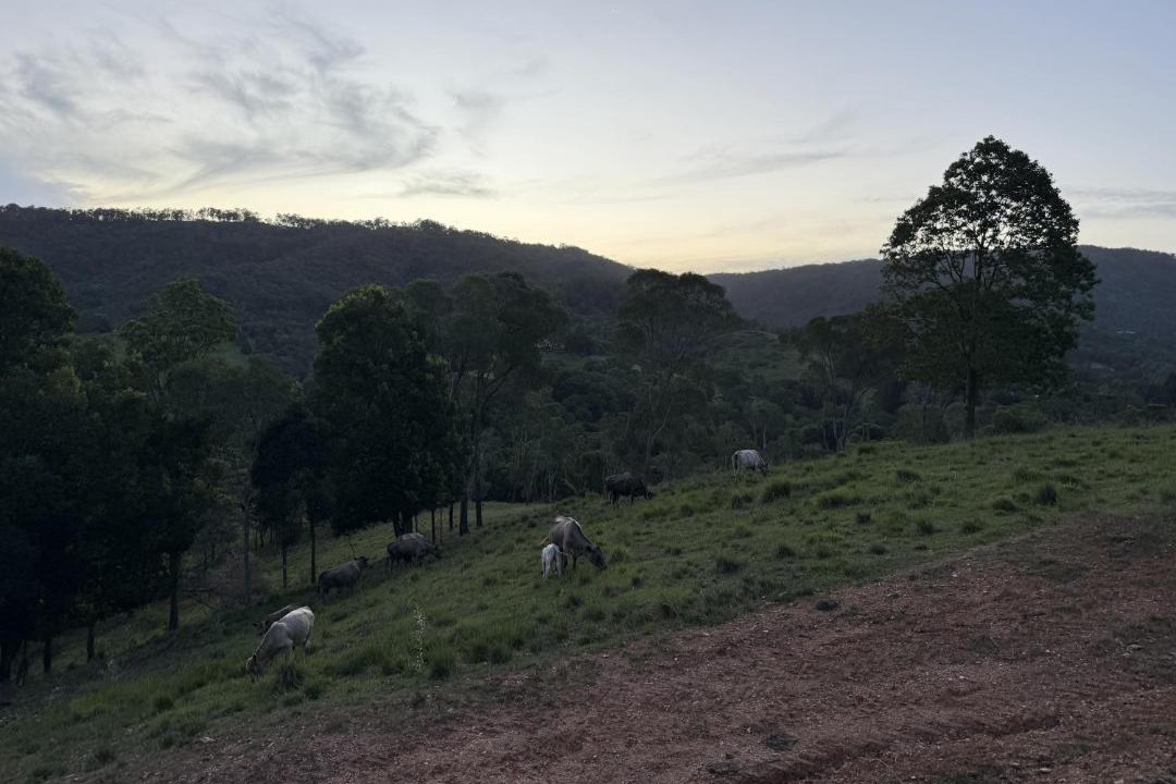 Photo of Others in Wamuran Basin