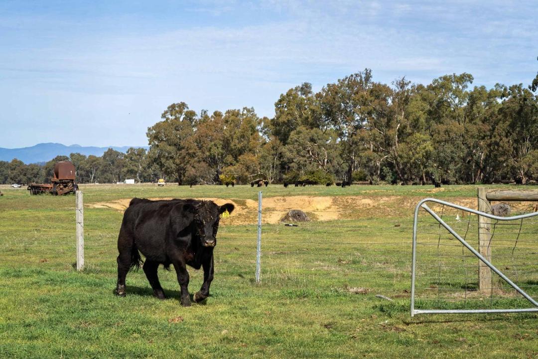 Photo of Others in Markwood