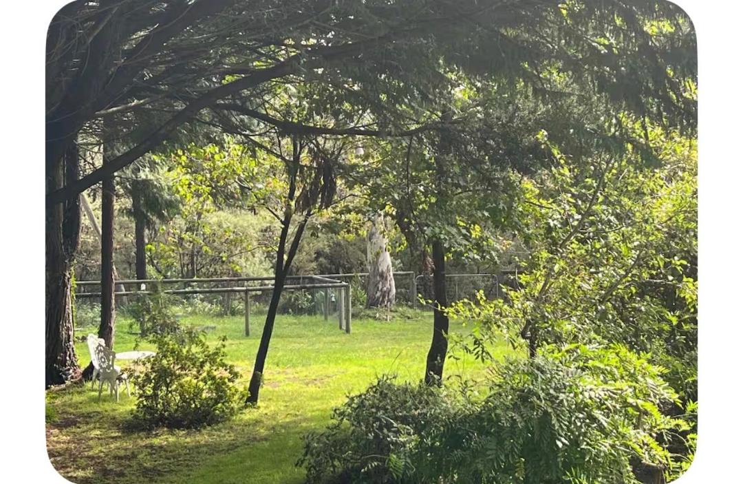 Photo of Others in Leura