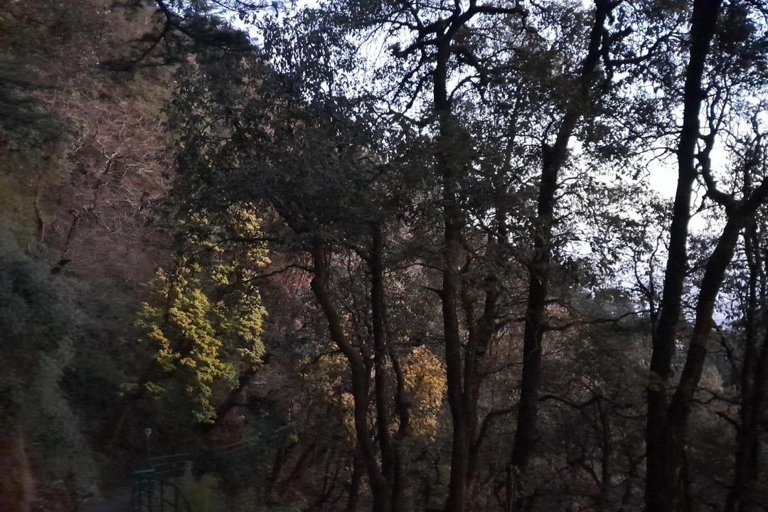 Photo of Others in Landour