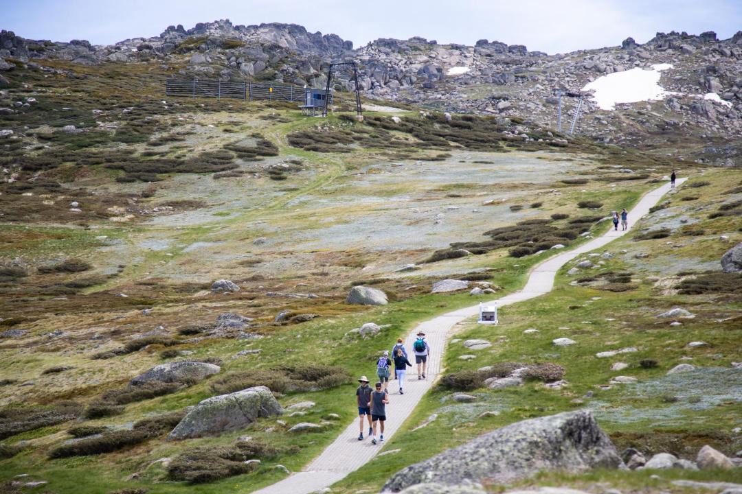 Photo of Others in Thredbo