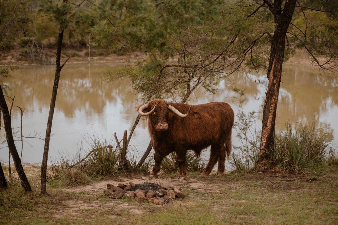 Photo of Others in Howes Valley
