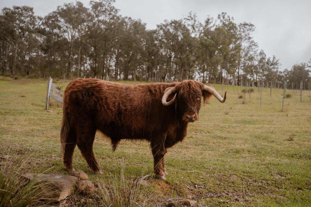 Photo of Others in Howes Valley