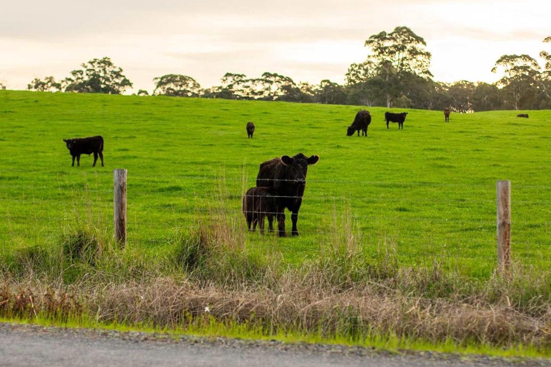 Photo of Others in Talunga