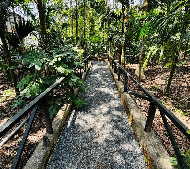 Photo of Outdoor in Sulthan Bathery