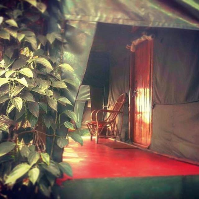 Photo of Others in Udumbanchola