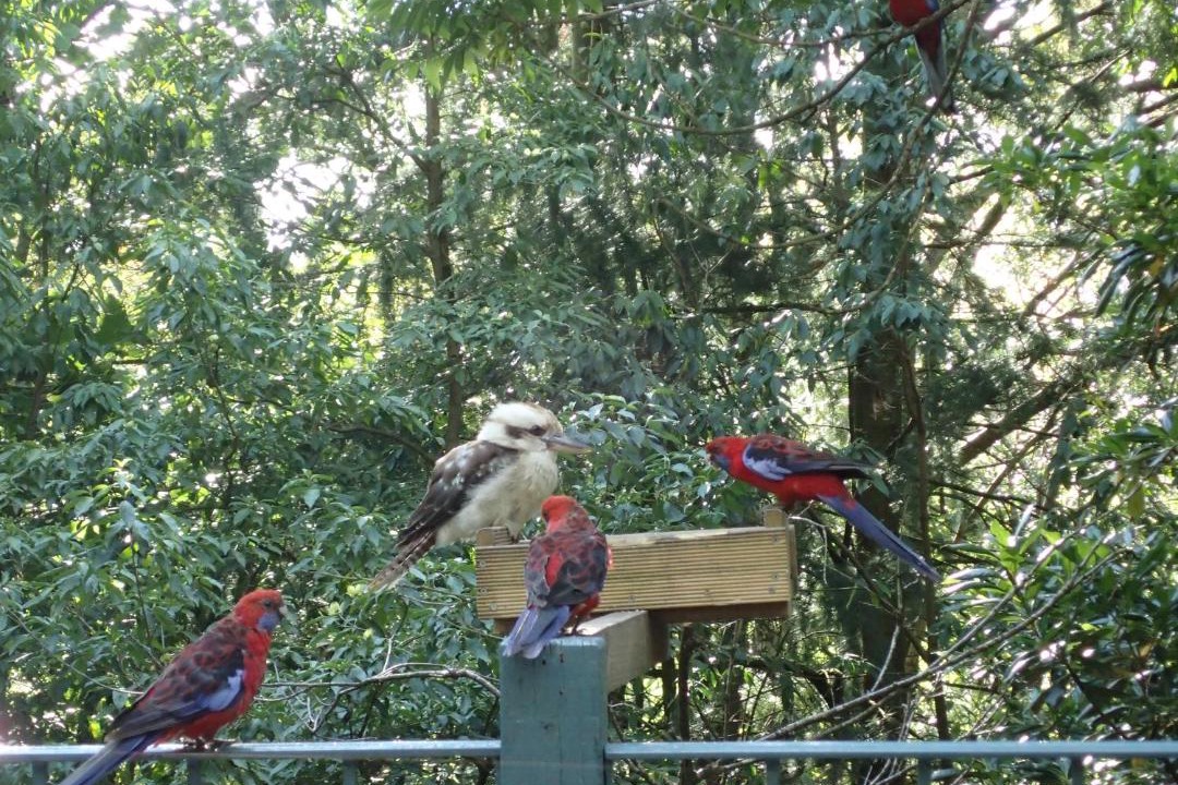 Photo of Others in Olinda