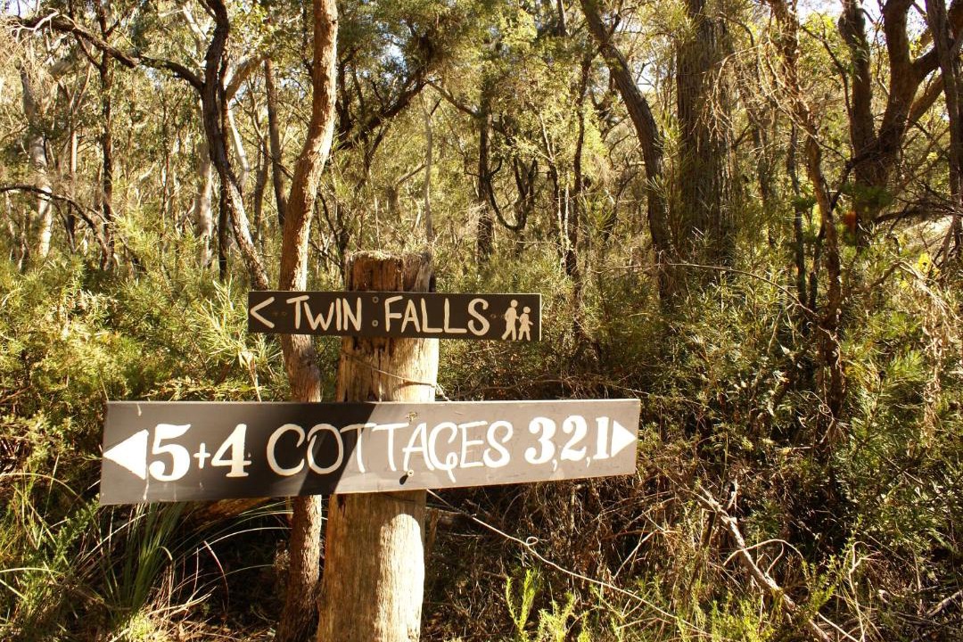 Photo of Others in Fitzroy Falls
